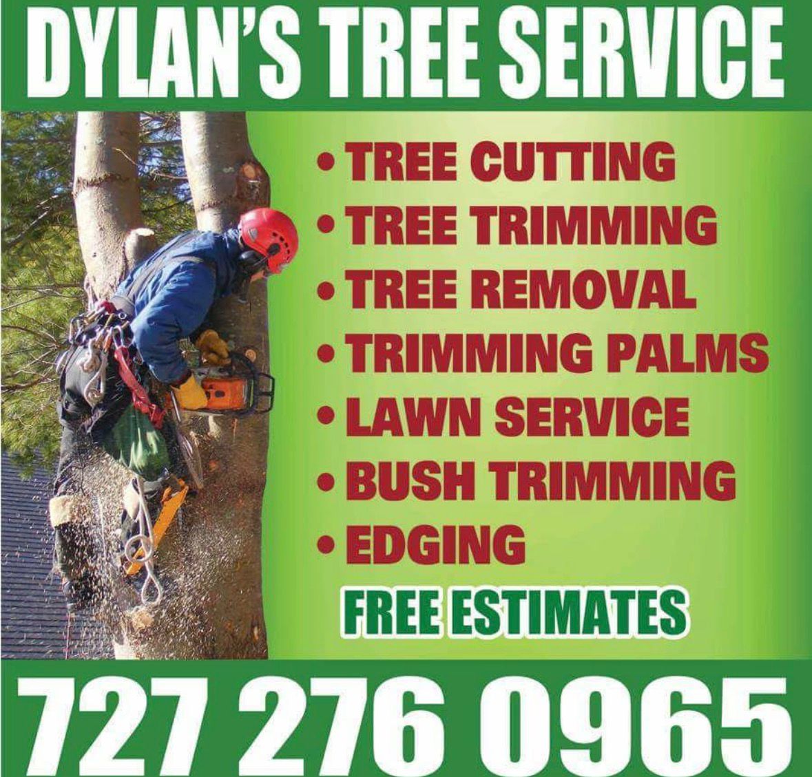 Yard clean-up