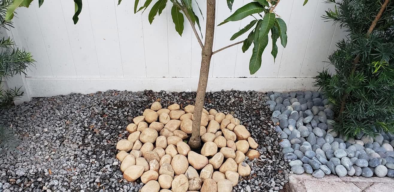 Commercial palm service