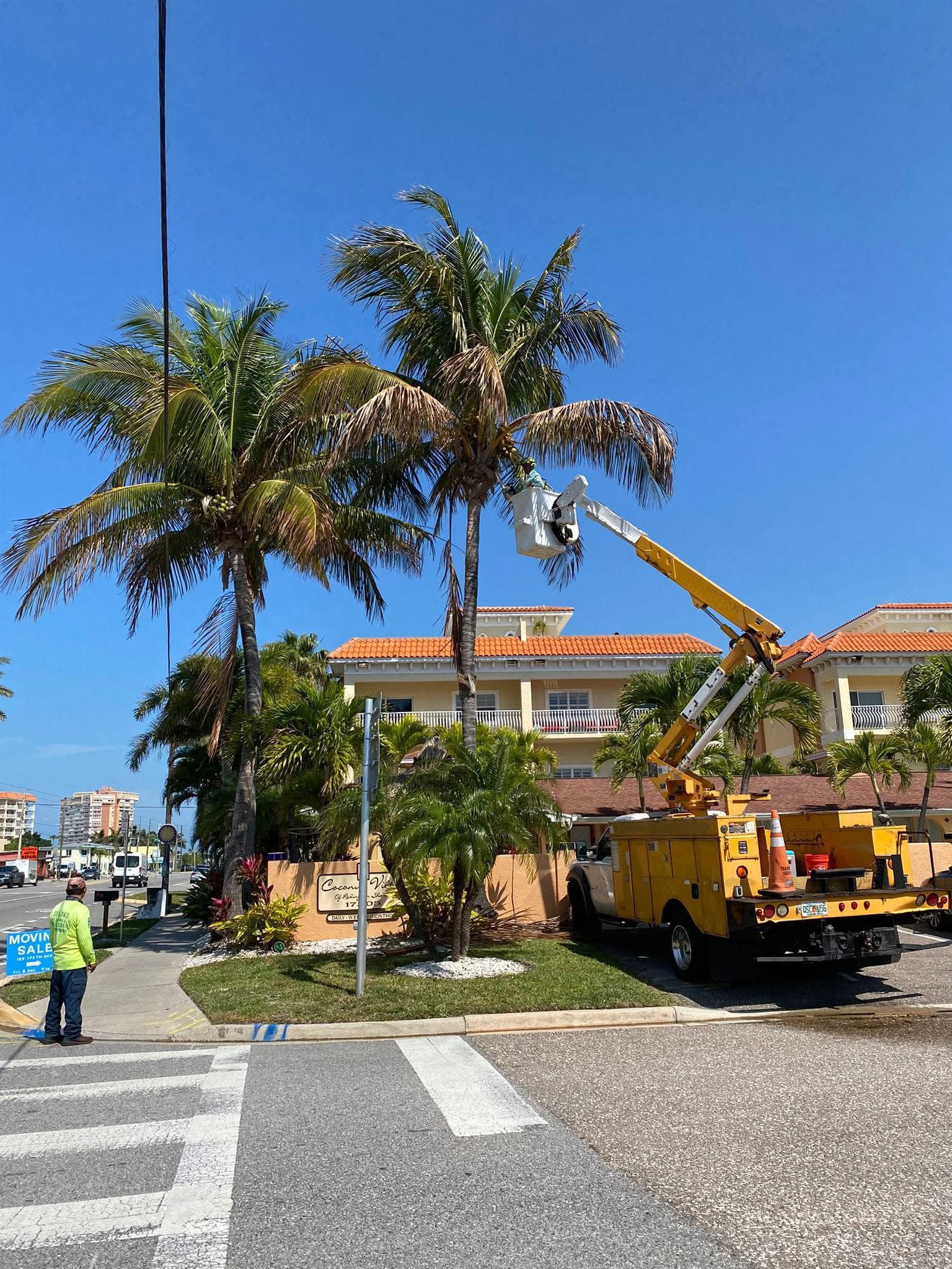 Tree removal service